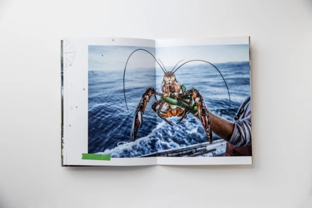 Elevate your storytelling with Astrolite PC 100®. 📖 Printed on our fine printing paper, @tadd_myers’ The Lobstermen of Little Cranberry Island captures the essence of sustainable living. Astrolite PC 100®’s uncoated surface enhances every detail, making it the perfect choice for any fine art or photography project. See and feel the difference Astrolite PC 100® can make. #PhotographyBook #FSCCertified #AstrolitePC100 #FinePrintingPaper #PCW #SustainableLiving